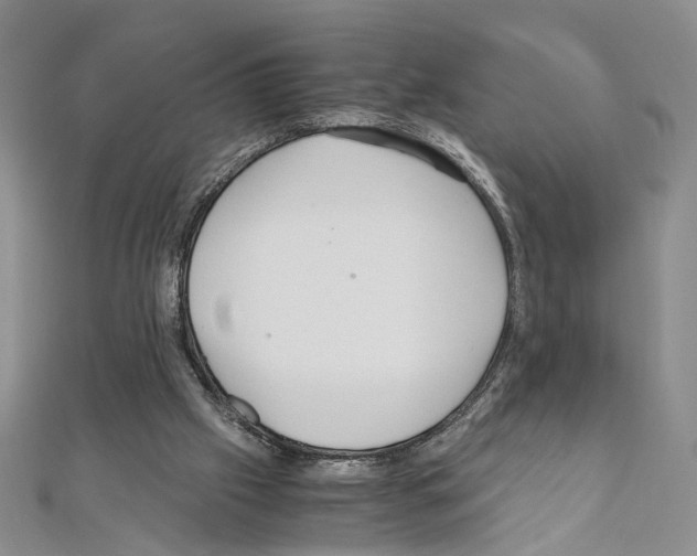 X0000110930057200907301632
