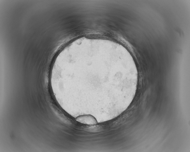 X0000110930059200907301632