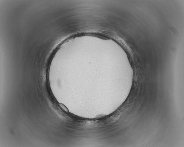 X0000110930060200907301632