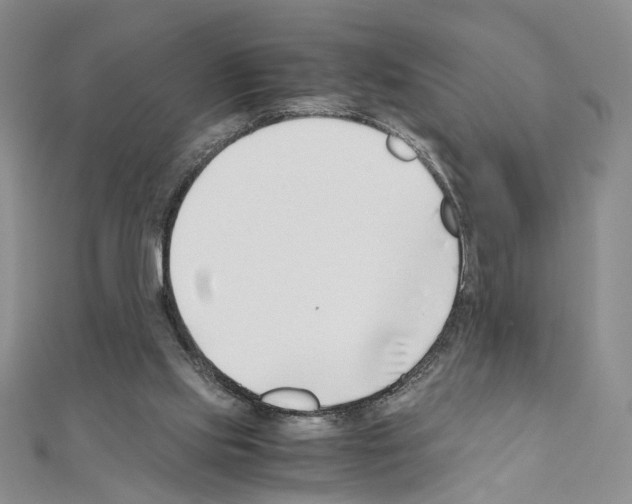X0000110930061200907301632