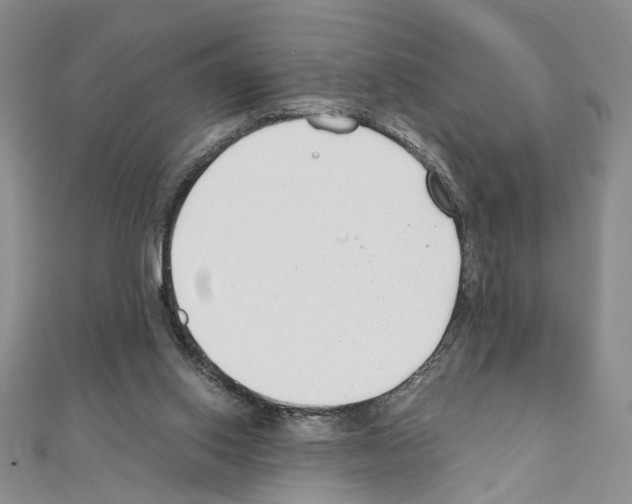 X0000110930062200907301632