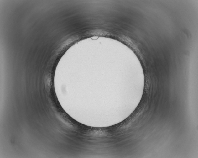 X0000110930063200907301632