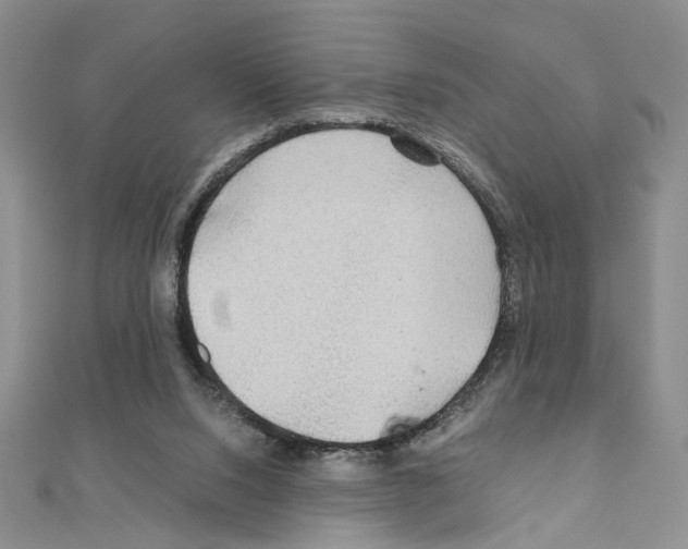 X0000110930064200907301632