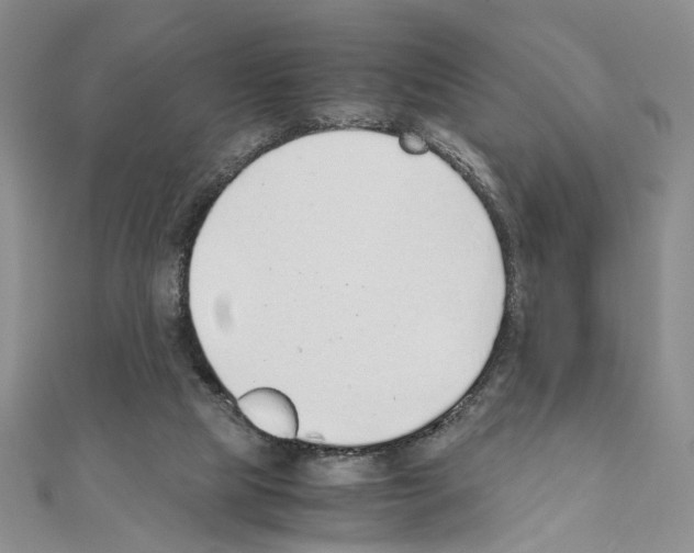 X0000110930065200907301632
