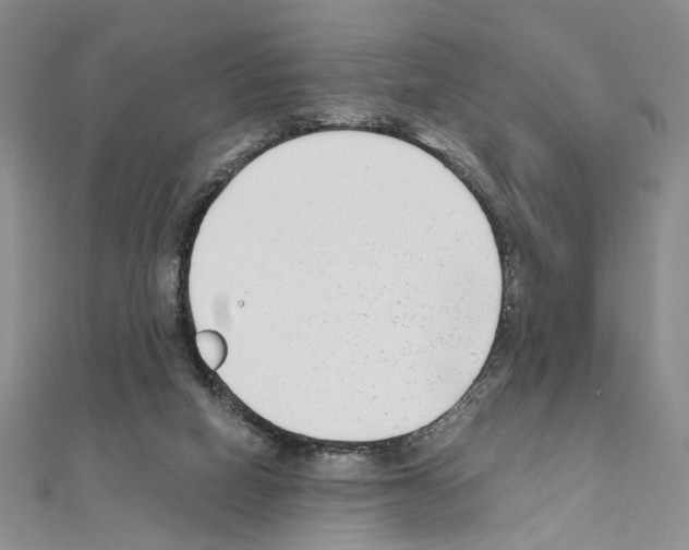 X0000110930066200907301632