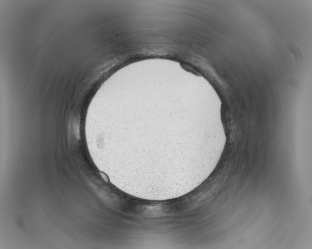 X0000110930068200907301632
