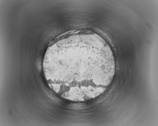 X0000110930069200907301632