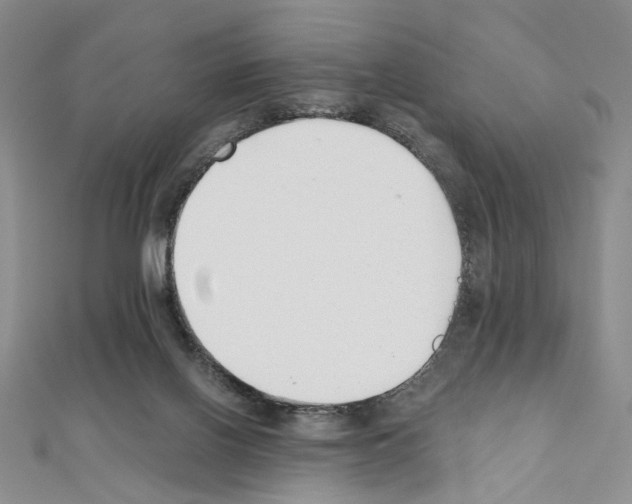 X0000110930070200907301632