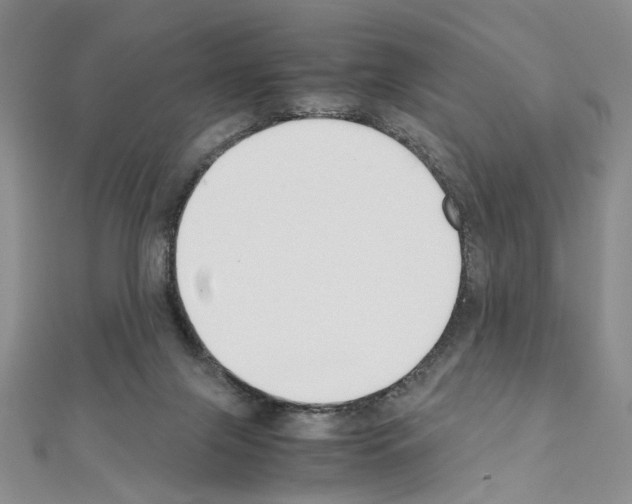 X0000110930071200907301632
