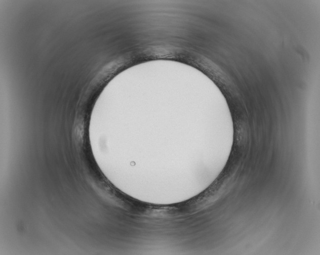 X0000110930072200907301632