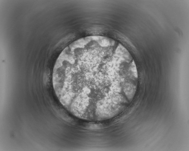 X0000110930073200907301632