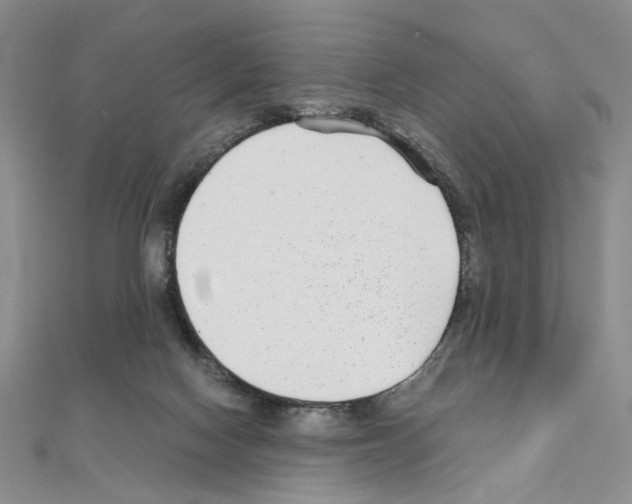 X0000110930074200907301632