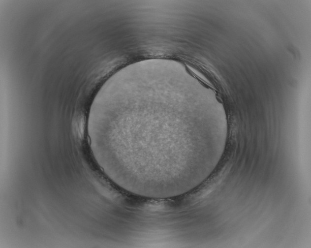 X0000110930076200907301632