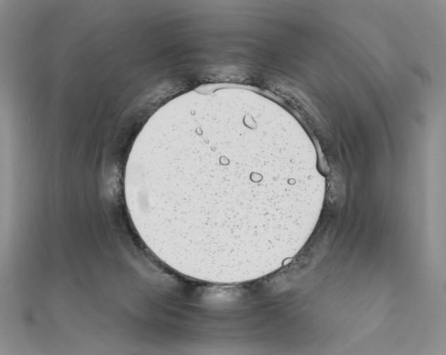 X0000110930077200907301632
