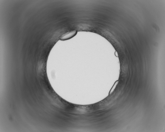 X0000110930079200907301632