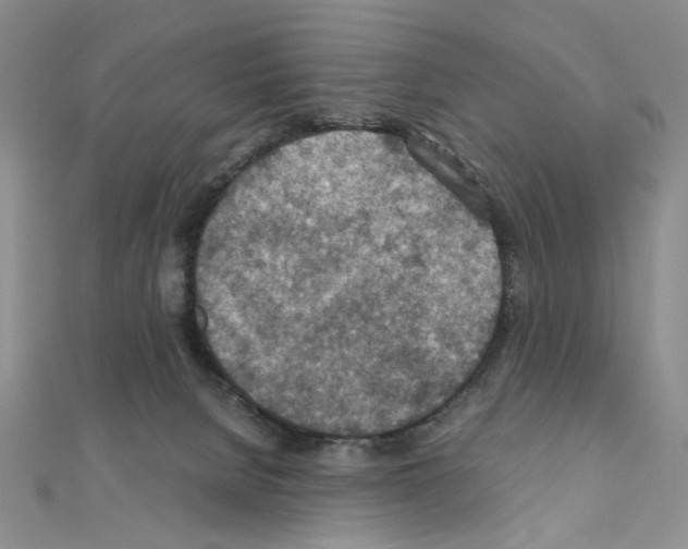 X0000110930080200907301632