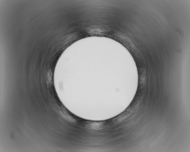 X0000110930081200907301632