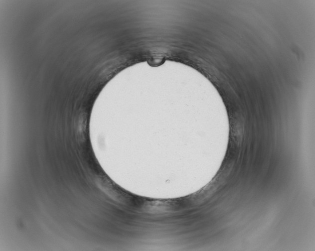 X0000110930082200907301632