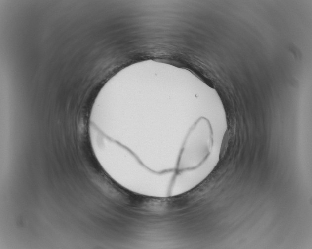 X0000110930084200907301632