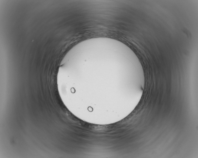 X0000110930088200907301632