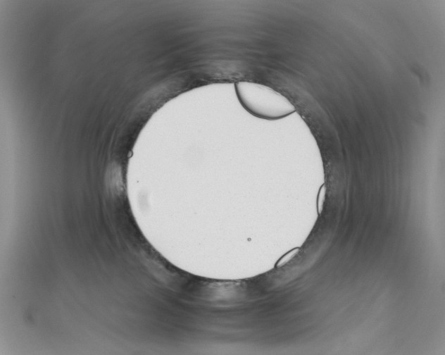 X0000110930089200907301632
