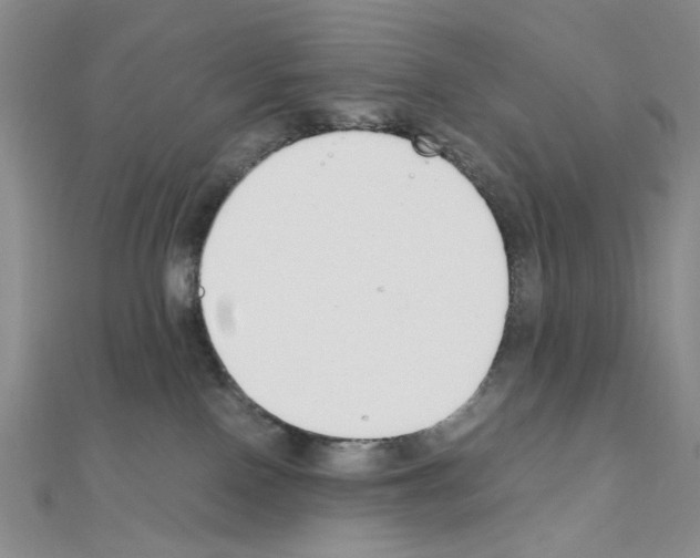 X0000110930090200907301632