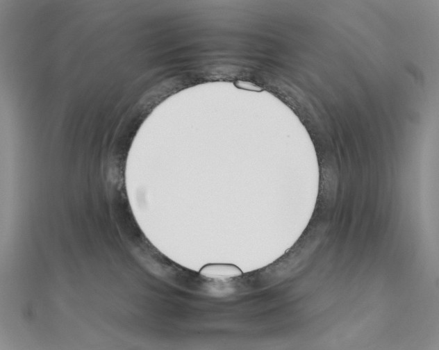 X0000110930091200907301632