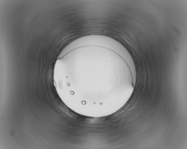 X0000110930092200907301632