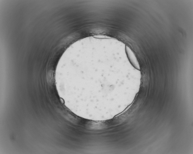 X0000110930093200907301632