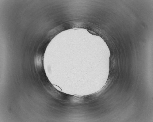 X0000110930094200907301632