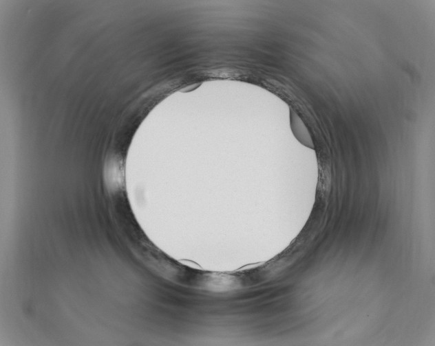 X0000110930095200907301632