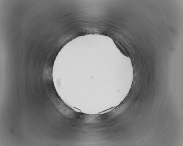 X0000110930096200907301632