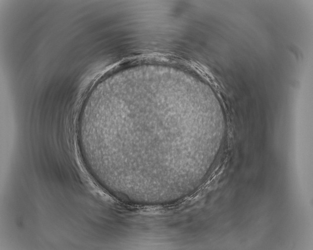 X0000110930097200907301632
