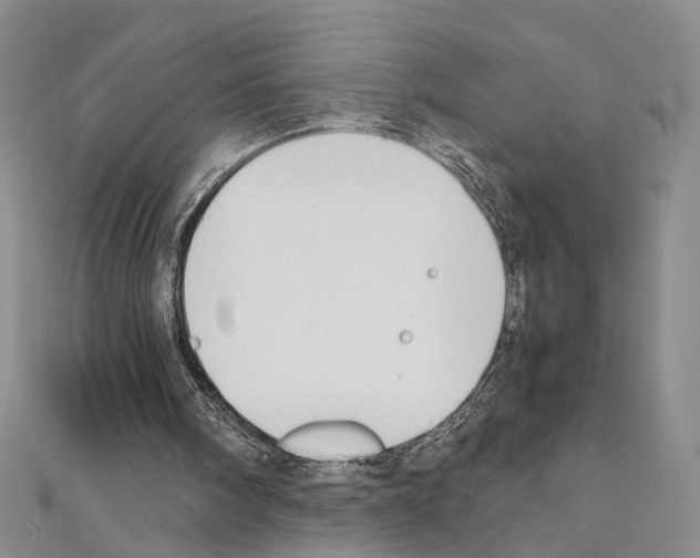 X0000110930098200907301632