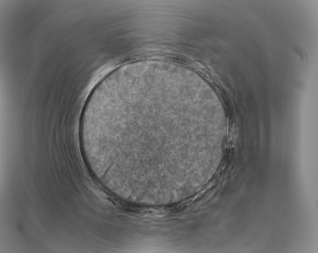 X0000110930099200907301632