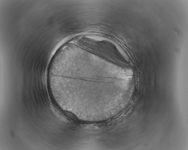 X0000110930100200907301632