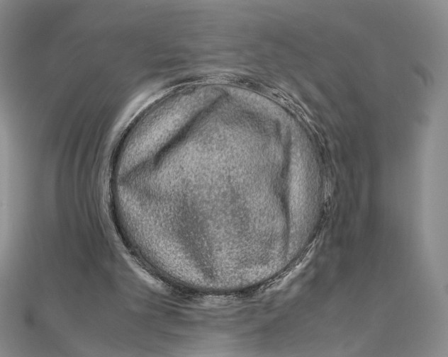 X0000110930101200907301632