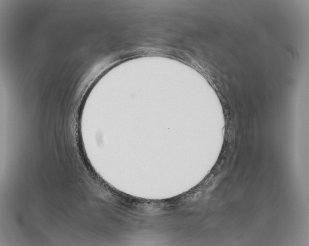 X0000110930103200907301632