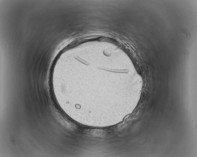 X0000110930104200907301632
