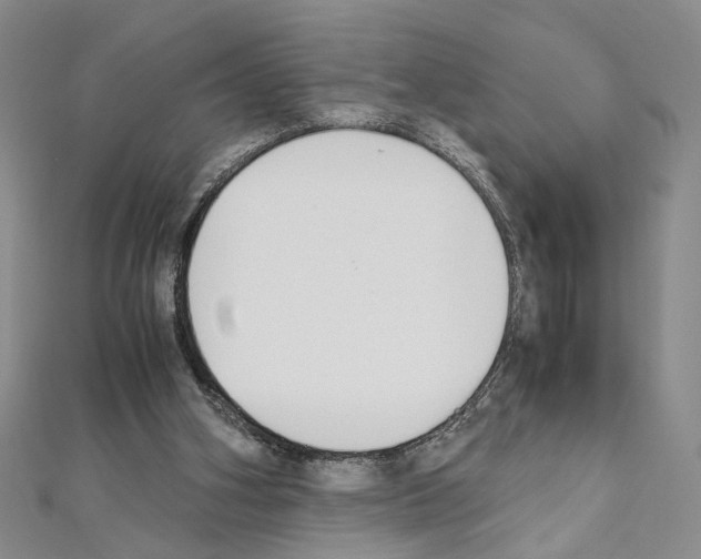 X0000110930106200907301632