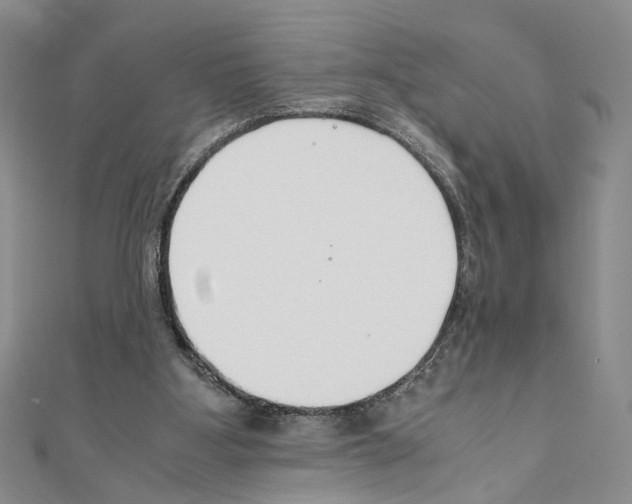 X0000110930107200907301632