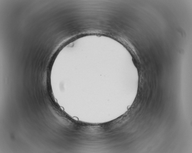 X0000110930108200907301632