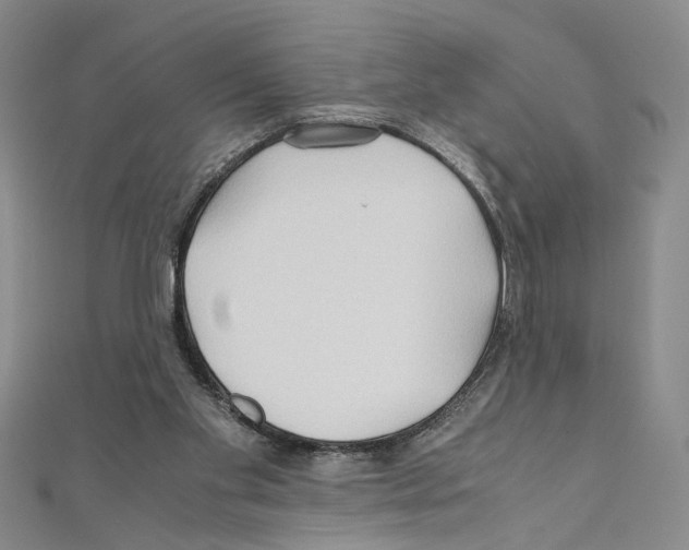 X0000110930109200907301632