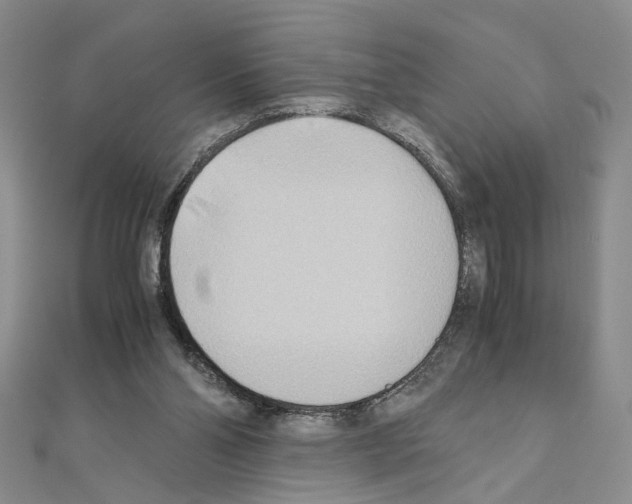 X0000110930110200907301632