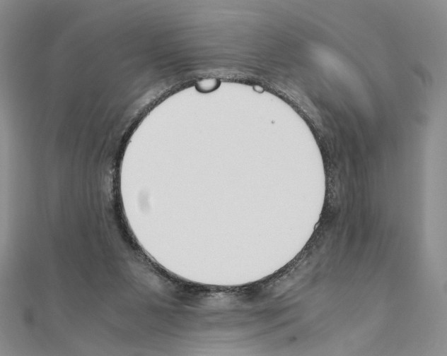 X0000110930111200907301632