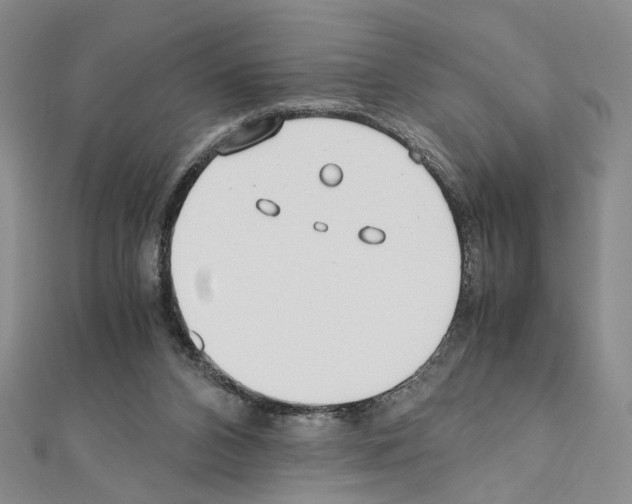 X0000110930112200907301632