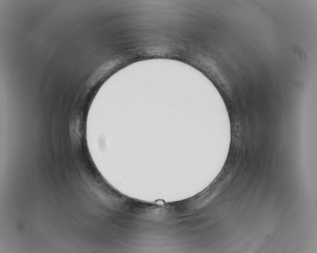 X0000110930116200907301632