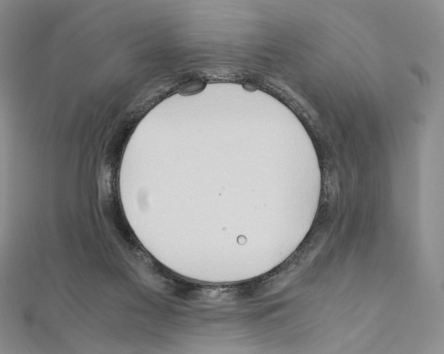 X0000110930117200907301632