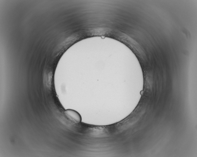 X0000110930118200907301632