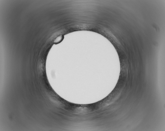 X0000110930119200907301631